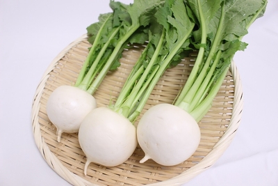 HT2HTQY4T1j6PJJEi6Ne.jpg?w=940&h=940