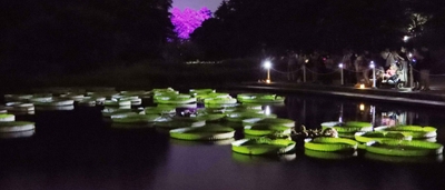 HTUtBjDBNTR9FL20fGU8.jpg?w=940&h=940