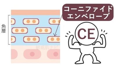 HTaFOsLDx6muBaJFDjGR.jpg?w=940&h=940