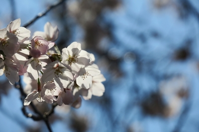 HUZjUFYkNjfmXWv5Amy9.jpg?w=940&h=940