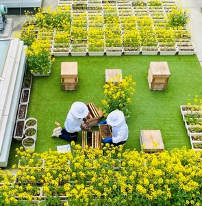 HWmK19DhGmN9ydrH15X8.jpeg?w=940&h=940