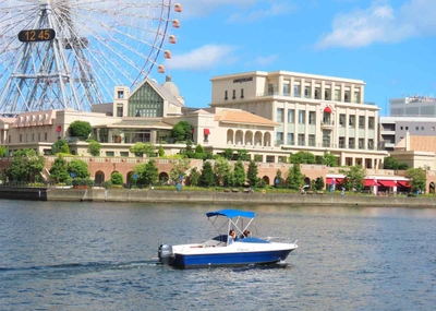 Ha281IMgp3LRsRd61T8D.jpg?w=940&h=940