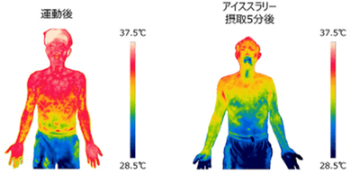 HaIeBegtpWw3GOy9RRVo.png?w=940&h=940