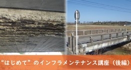 HaZo7juJd4wIM1tNOpBf.jpg?w=940&h=940