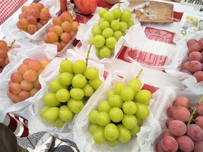 HatEVMq4VXmvrp5twVVq.jpg?w=940&h=940