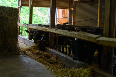 HbLgno6CBrbPDVbuZBGU.jpg?w=940&h=940