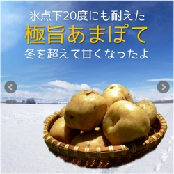 リピーター続出!冬の寒さを耐えて、甘~くなった越冬じゃがいも "極旨あまぽて" 販売スタート「オンライン北海道物産展・スマイルマルシェ」