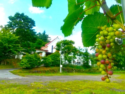 軽井沢アンワイナリー（軽井沢町大日向）