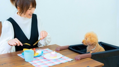 HdzmhPWhzGsv3rrGAu7M.jpg?w=940&h=940