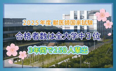 HeH0ouXfoinl6yTT2gf4.png?w=940&h=940