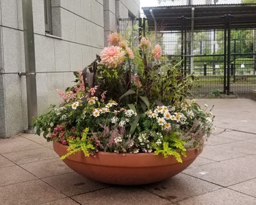 HfqcKwlzBt6EXrFrH1wa.jpg?w=940&h=940