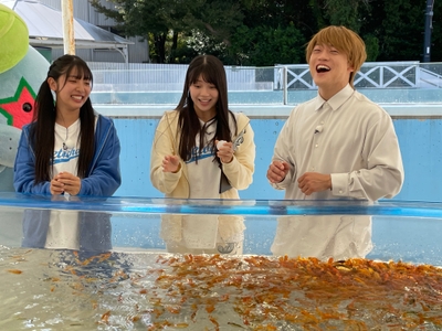 Hgd1do8kH0RDTa54ddlO.JPG?w=940&h=940