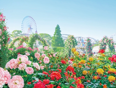 Hge8q3MNtOqh6ZAA5OQA.jpg?w=940&h=940