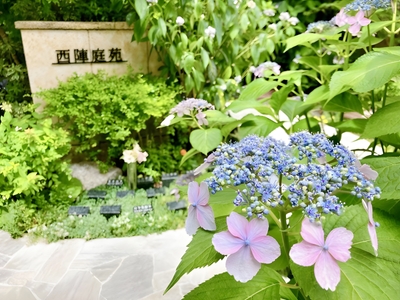 Hh0DkuhPzq9PG5APvby1.jpeg?w=940&h=940