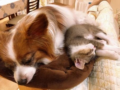 HhZH3DWtuqSn7G7QoTAQ.jpeg?w=940&h=940