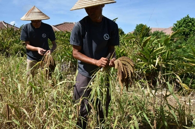 Hj23lRvBgfcTbXJwvYn5.jpg?w=940&h=940