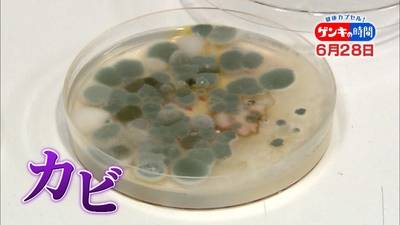 HjPYCabUZvWEQFg3ZM1U.jpg?w=940&h=940