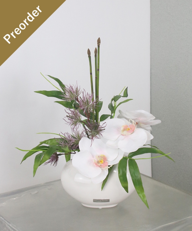 SDGsファレノプシスピンク¥13,200税込