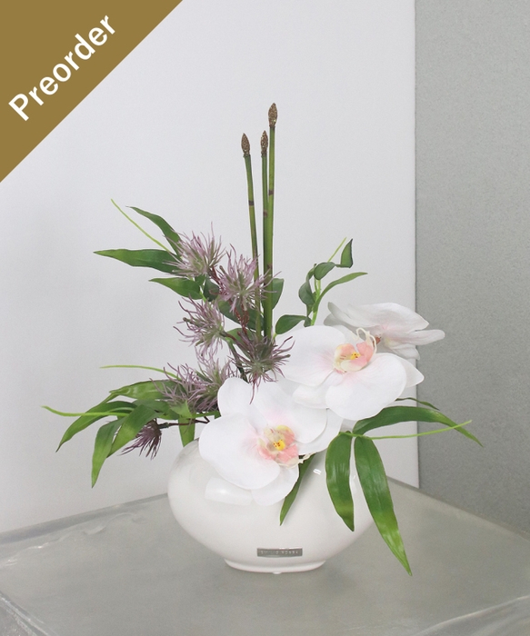 SDGsファレノプシスピンク¥13,200税込