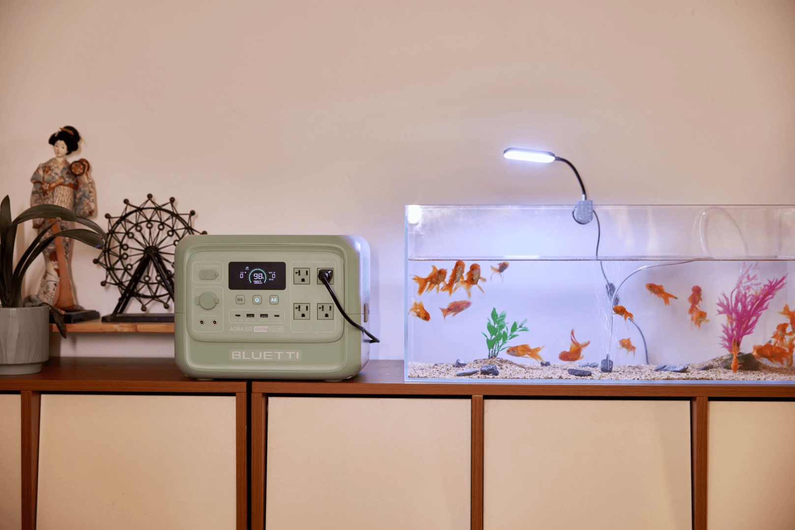 「AORA 100 V2」で、大切なペットにもやさしい電力を