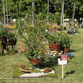 HkhAjBTOTp0oPQRw7FKY.png?w=940&h=940