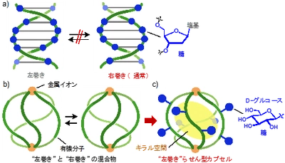 らせん型カプセルによる最高レベルのキラル伝達　－新しい高機能キラル空間の作り方－