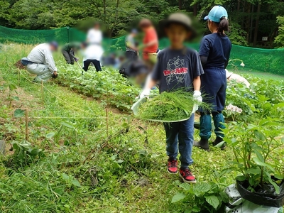 HlTQEoeAOksBQGsdsN0H.jpg?w=940&h=940