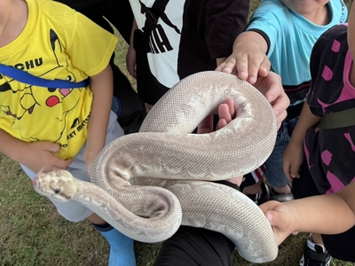 HnQMsqmzDc7cCWqaVl7E.jpg?w=940&h=940