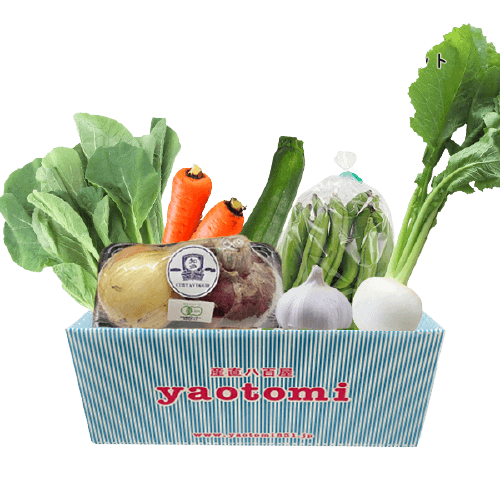 旬のおすすめセット(7品)