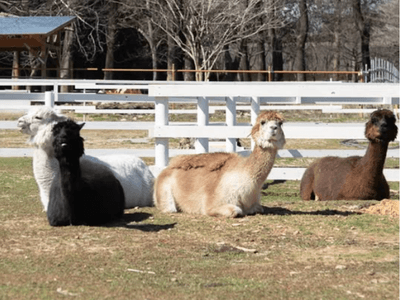 HpjEPeEp16OiVp54NGIF.png?w=940&h=940