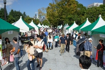 HpnGZMWSRbCwLrlvYAe2.jpg?w=940&h=940