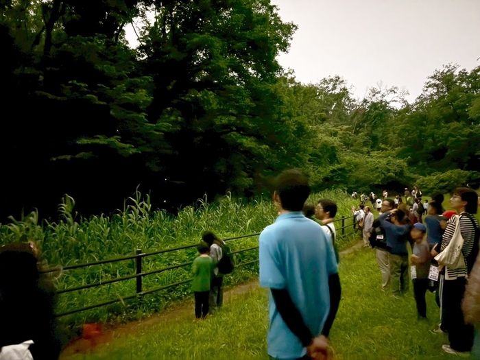 2025年6月開催「親子でホタル鑑賞会~横浜に自生するホタルを鑑賞しよう!~」当日の様子