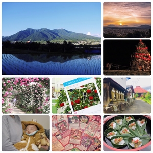 HrUecO6ETZ2ukcalN0a8.jpg?w=940&h=940