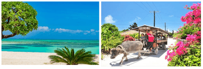 HrY8y3EVr7B3h1mv96Uk.png?w=940&h=940