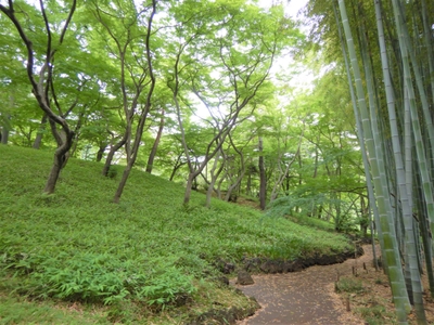 HroEp6y1kVZyC8CyAxf1.jpg?w=940&h=940