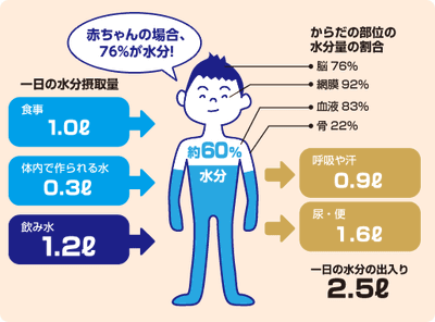 HsdIDENswvVcML1JtuLT.gif?w=940&h=940