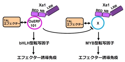 HuINwcLHa4sPq7byRAmX.jpg?w=940&h=940