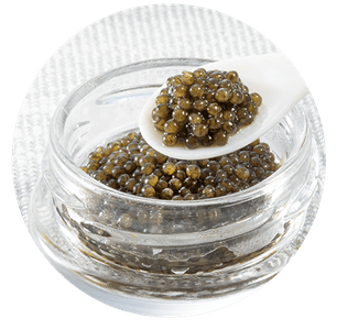 HvbIMeYqVEvUlEkOF3Vw.png?w=940&h=940