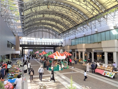 HvppbszBgrOdzwHcZPpQ.jpg?w=940&h=940