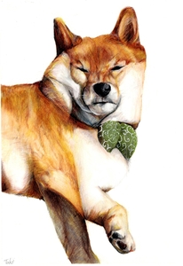 Hw4WXkU1ErpYhHiILUSj.jpg?w=940&h=940