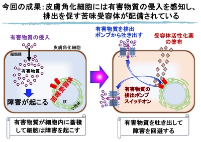 Hw63Xf5rlISuw77YWwkO.jpg?w=940&h=940