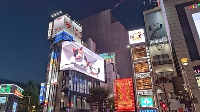 HwN1fDjggwmdBv6kMLRw.jpg?w=940&h=940