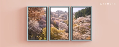 【NEW RELEASE!】Atmoph Window 2で「吉野山の桜」の風景を追加