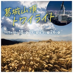 ― 夕日で黄金に輝くススキを満喫 ― 「葛城山夕景ウォーク」を初開催