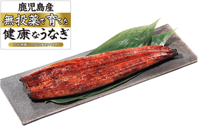 Hy6sWBl7Y38k9XBqxUwf.png?w=940&h=940