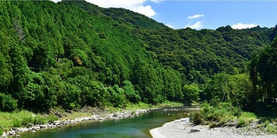 I0U55CAgPSUWwKzTyd2T.jpg?w=940&h=940