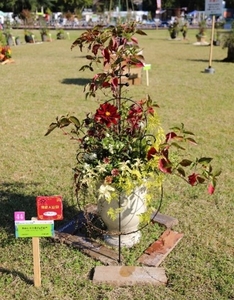 I0YaE5jIMeYDwBNkcpzn.jpg?w=940&h=940