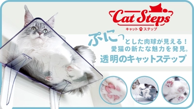 愛猫の肉球が見える！透明のキャットステップを Makuakeにて9月1日より発売！