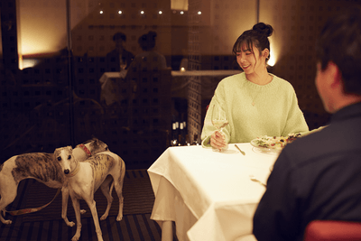 I1E7QfB3XK14Kptl6FB6.png?w=940&h=940