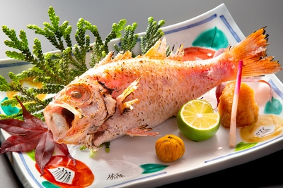 I1qC17yU1lPzNrI2jXEA.jpg?w=940&h=940